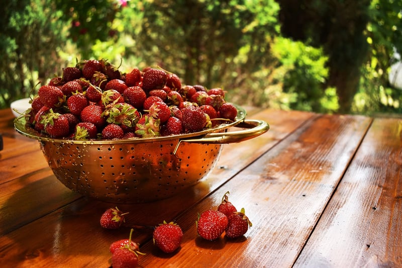 Vintage Colander Planters